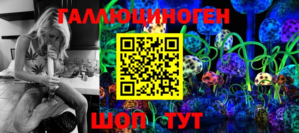 Галлюциногенные грибы мухоморы Кингисепп