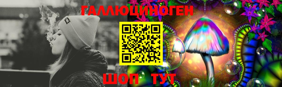 Псилоцибиновые грибы GOLDEN TEACHER  даркнет сайт  Кингисепп  Галлюциногенные грибы прущие грибы  Вход с VPN 