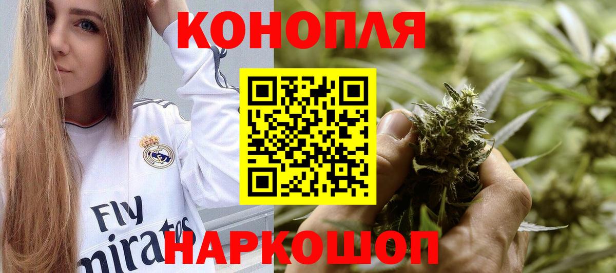 Каннабис индика Кингисепп