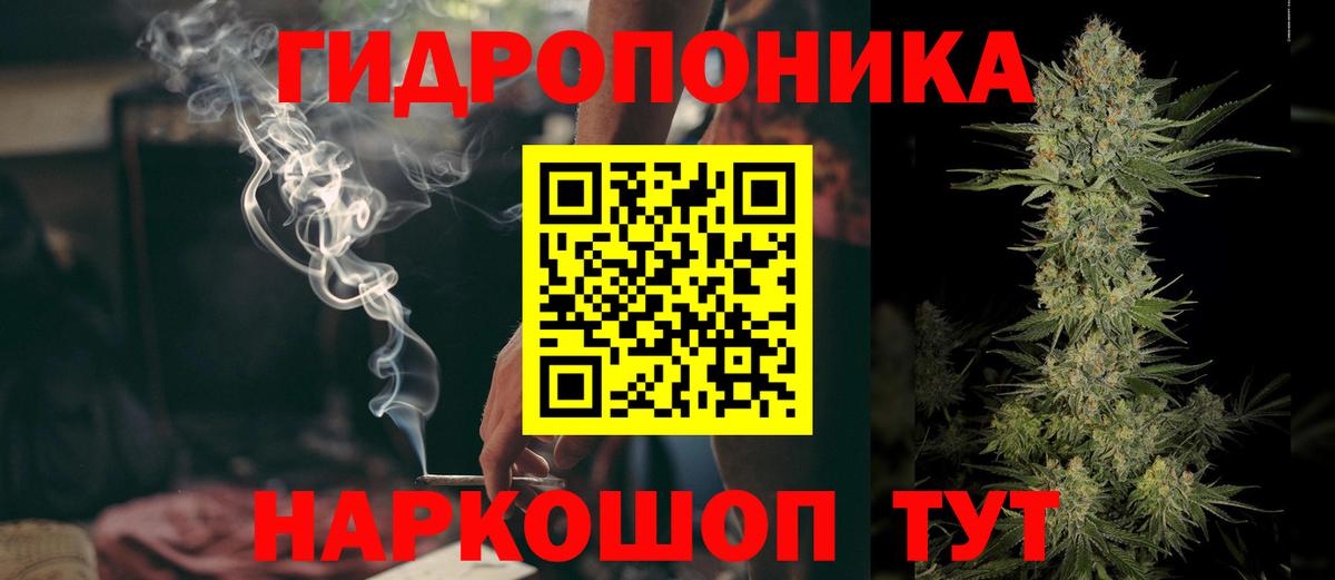 Бошки Шишки AK-47  Вход с VPN  Кингисепп  МАРИХУАНА Ganja  МАРИХУАНА индика 